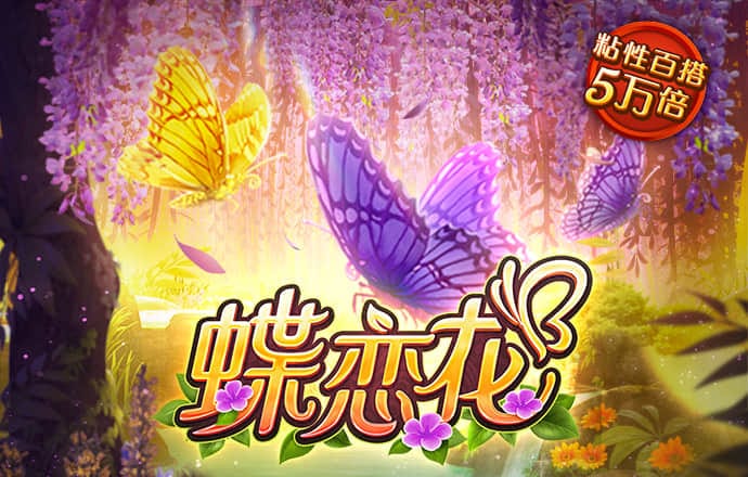73彩票网手机版登陆app